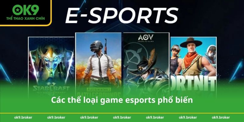 Các thể loại game esports phổ biến