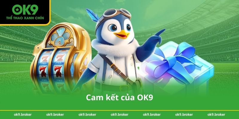 Cam kết của OK9